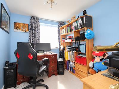 Picture 14